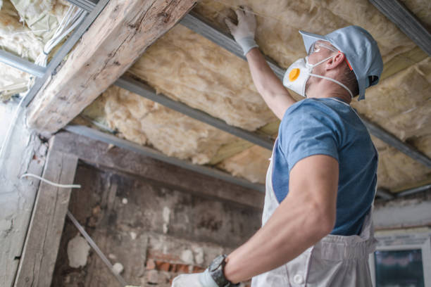 Best Insulation Contractor Near Me  in Le Roy, IL