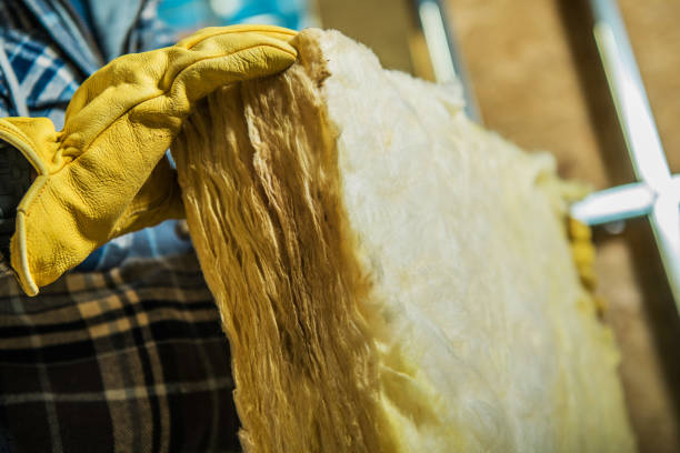 Best Insulation Repair Services  in Le Roy, IL