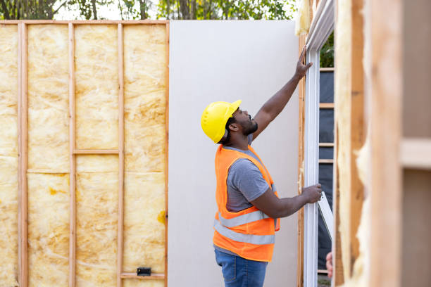 Best Best Insulation Companies  in Le Roy, IL