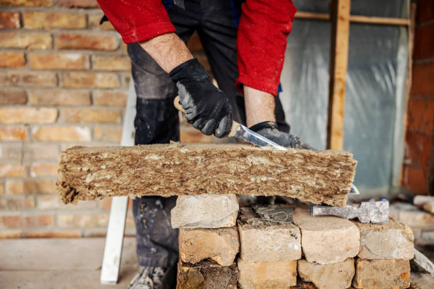 Best Insulation Removal  in Le Roy, IL