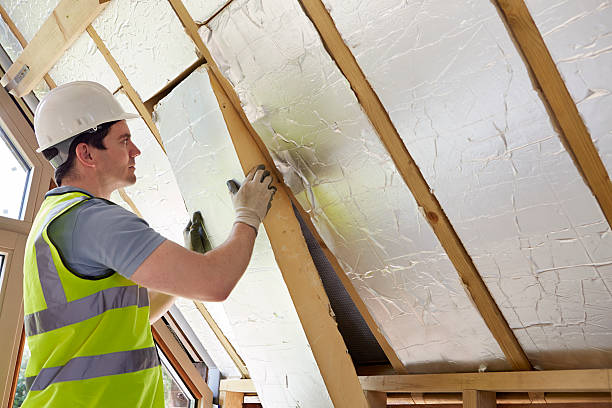 Best Commercial Insulation Contractor  in Le Roy, IL