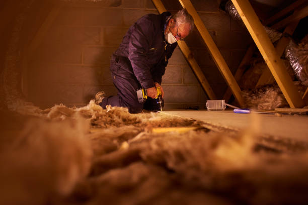 Best Insulation for New Construction  in Le Roy, IL